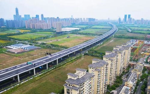 蕭山機場公路改建工程順利通過竣工質(zhì)量專項驗收
